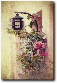 an old fashioned street light with flowers growing on it's side and a lantern hanging from the wall