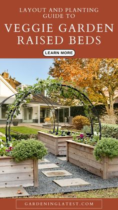 vegetable garden raised beds with text overlay that reads layout and planting guide for veggie garden raised beds learn more