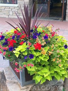 a flower pot with colorful flowers in it