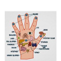 Punkty Spustowe, Ear Reflexology, Reflexology Foot Chart, Sistem Saraf, Foot Reflexology Massage, Hand Reflexology, Reflexology Chart, Reflexology Massage, Foot Reflexology