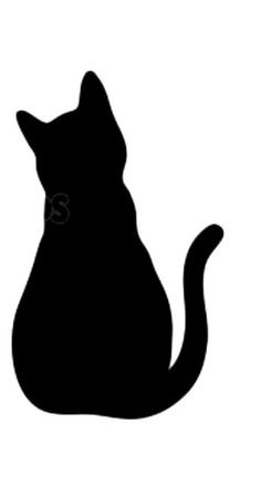 a black cat silhouetted against a white background