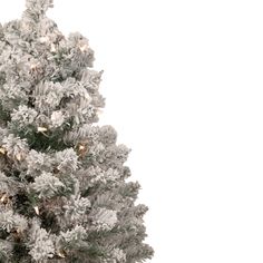 a white christmas tree with lights on it's branches in front of a white background