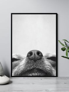 a black and white photo of a dog's face with its nose hanging on the wall