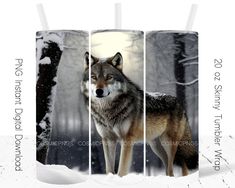 a wolf standing in the middle of a forest with snow on it's ground