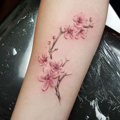 Tatouage De Fleurs De Cerisier, Tatouage Cerisier, Tatouage Fleur De Cerisier, Tatouage Pied Femme, Tatouage De Roses, Magasin De Tatouage, Tatouages ​​impressionnants, Style De Tatouage, Motif De Tatouage