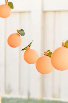 some oranges are hanging from a string with green leaves on them and one is pink