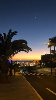 a palm tree on the side of a road at night with city lights in the background