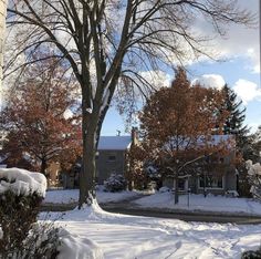 a snow covered street with trees and houses in the background