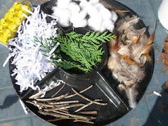 a plate with cotton balls, pine cones and other items