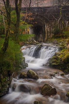 a small waterfall in the middle of a forest filled with rocks and trees, under a bridge