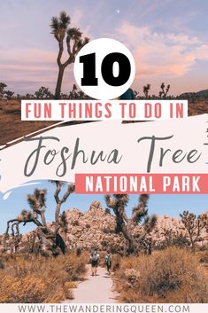 joshua tree national park with text overlay that reads 10 fun things to do in joshua tree national park