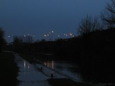 the street lights shine brightly in the dark sky above water and trees on either side