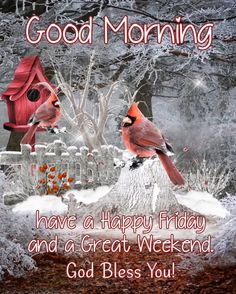 Quotes For Good Morning, December Prayers, Christmas Friday, Goodnight Pictures, Kelly's Treehouse, Happy Friday Pictures, Friday Greetings, Chicken Jokes, Monday Wishes