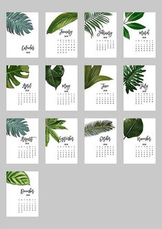 a calendar with tropical leaves on it