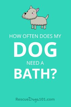 a dog is shown with the words how often does my dog need a bath?