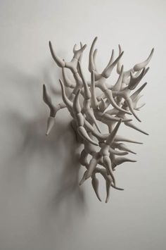 a sculpture made out of white corals on a gray wall in the shape of a starfish