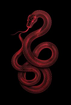 a red snake on a black background