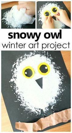 snow owl craft for kids to make with paper towels and toilet paper rolls on the table