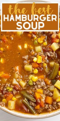 the best hamburger soup with vegetables and meat