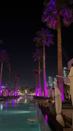 palm trees are lit up at night next to a pool