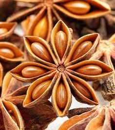 star anise seeds are shown in this close up photo