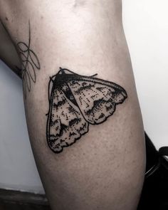 a small moth tattoo on the leg