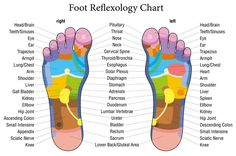 Onion In Sock, Reflexology Foot Chart, Bolesti Chrbta, Reflexology Chart, Foot Reflexology, Foot Soak, Baby Massage, Foot Massage, Reflexology