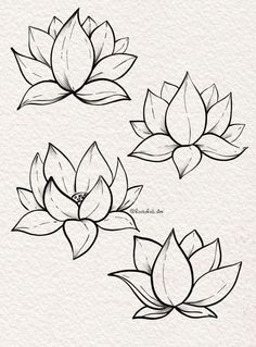 three lotus flowers are drawn in black ink on white paper, and one has a single flower