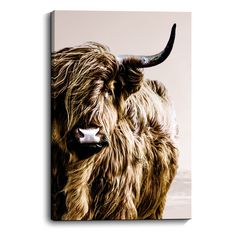 PRICES MAY VARY. HIGHLAND COW CANVAS: The vast wild, the soul of the snowy yak. In the morning drink the clear stream, lie down in the evening and the sunset afterglow. It’s powerful and strong, loyal and gentle, perseverant and brave, Smart and pretty. CANVAS WALL ART SIZE: 12”x 16” (30cmx40cm). Perfect canvas wall art decor for Home, Living room, Bedroom, aesthetic room, Kitchen, Dining room, Bathroom, Stairway, Corridor, Hotel, Office, Salon, Condo, Bar etc. A perfect Christmas gift and New Y Cow Wall Print Over A Fireplace, Cattle Pictures, Country Farmhouse Wall Decor, Office Fireplace, Highland Cow Wall Art, Wall Art Country, Fireplace Kitchen, Highland Cow Canvas, Cow Wall Art