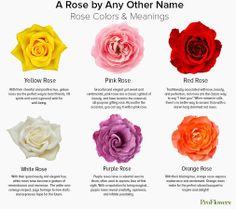 the different colors of roses are shown in this poster, which shows their names and meanings