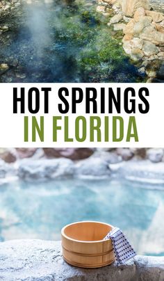 Best Hot Springs in Florida Springs In Florida Swim, Lithia Springs Florida, Kelly Springs Florida, Warm Mineral Springs Florida, Homassassa Florida, Wekiva Springs Florida, Wakulla Springs Florida, Homosassa Springs Florida, Crystal Springs Florida