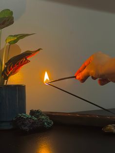 We invite you to enhance any zen space with our hand dipped and slow burning incense sticks. They are hand made out of all natural charcoal creating a cleaner and longer lasting burn.  Each package comes with 20 sticks - each burning for about an hour long 11" long stick with 8" of charcoal   - CLASSIC COLLECTION -  Palo Santo  - a grounding aroma of an unlit stick of palo santo combined with sandalwood  Nag Champa  - a beloved and most popular incense scent. fragrant resins, gums, sandalwood, a Incense Sticks Aesthetic, Walnut Pancakes, Scent Sticks, Zen Space, Nag Champa, Burning Incense, Fall Spices, Mulled Wine, Witches Brew