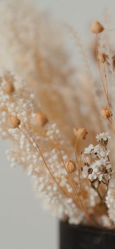 some white flowers are in a black vase