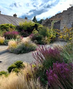 an outdoor garden with lots of plants and flowers on the ground, along with stone buildings