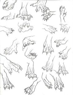 an image of hands and claws drawn in pencil