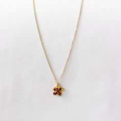 Star Plumeria Necklace – Leighton Lam Designs Hawaii Necklace, Sweet Fragrance, Iconic Symbols, Sweet Fragrances, Outfit Inspo Fall, Hawaii, 18k Gold, Gold Plate, Gold Necklace