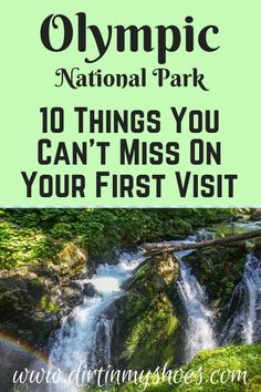 the olympic national park with text overlay reading 10 things you can't miss on your first visit