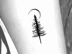 a black and white photo of a pine tree with a half moon in the background