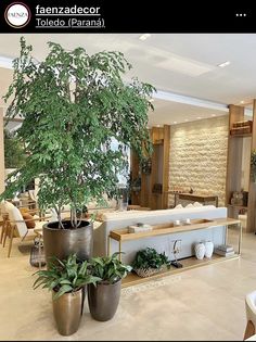 a living room filled with lots of furniture and potted plants on top of tables