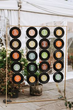 an outdoor display with many different types of discs on the wall and potted plants next to it