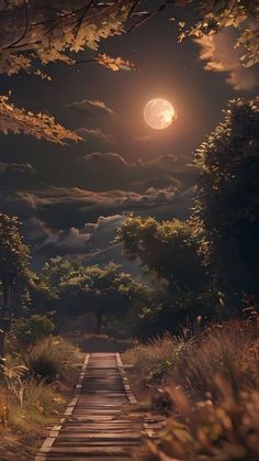 an empty road leading to the full moon in the night sky with trees and bushes