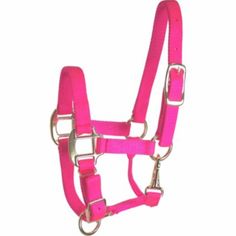 a pink bridle with metal fittings