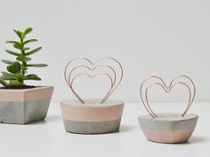 three cement planters with hearts on them and a succulent in the middle