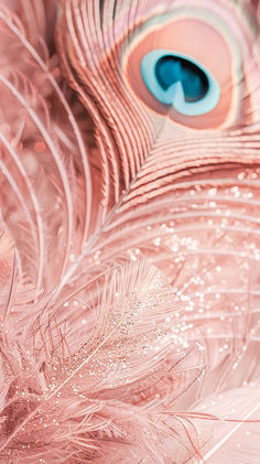 a close up view of a pink feather with blue eyes and feathers in the foreground