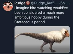 an animal with long hair walking across a dark background text reads, pudge @ dude ruff i imagine bird watching would've been considered much more ambitious