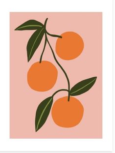 an image of oranges on a pink background