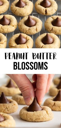 peanut butter blossoms are the perfect treat for valentine's day or any special occasion