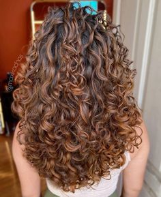 Hair Color Inspo For Curly Hair, Red Curly Highlights, Curly Color Ideas, Natural Curly Hair Color Ideas Balayage, Curly Hair Balayage Brown, Colored Curly Hair Ideas, Copper Highlights On Brown Hair Curly, Light Brown Curly Hair With Highlights, Dark Copper Curly Hair