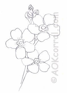 a drawing of some flowers on a white background