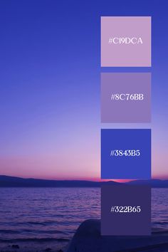 an image of the ocean at sunset with color swatches for each section in different colors